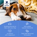 MagiCalm® for Dogs 