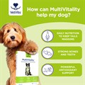 MultiVitality® for Dogs 