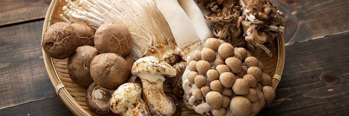 A bowl of mushrooms