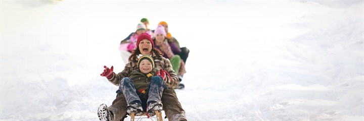 A family sledging in the snow